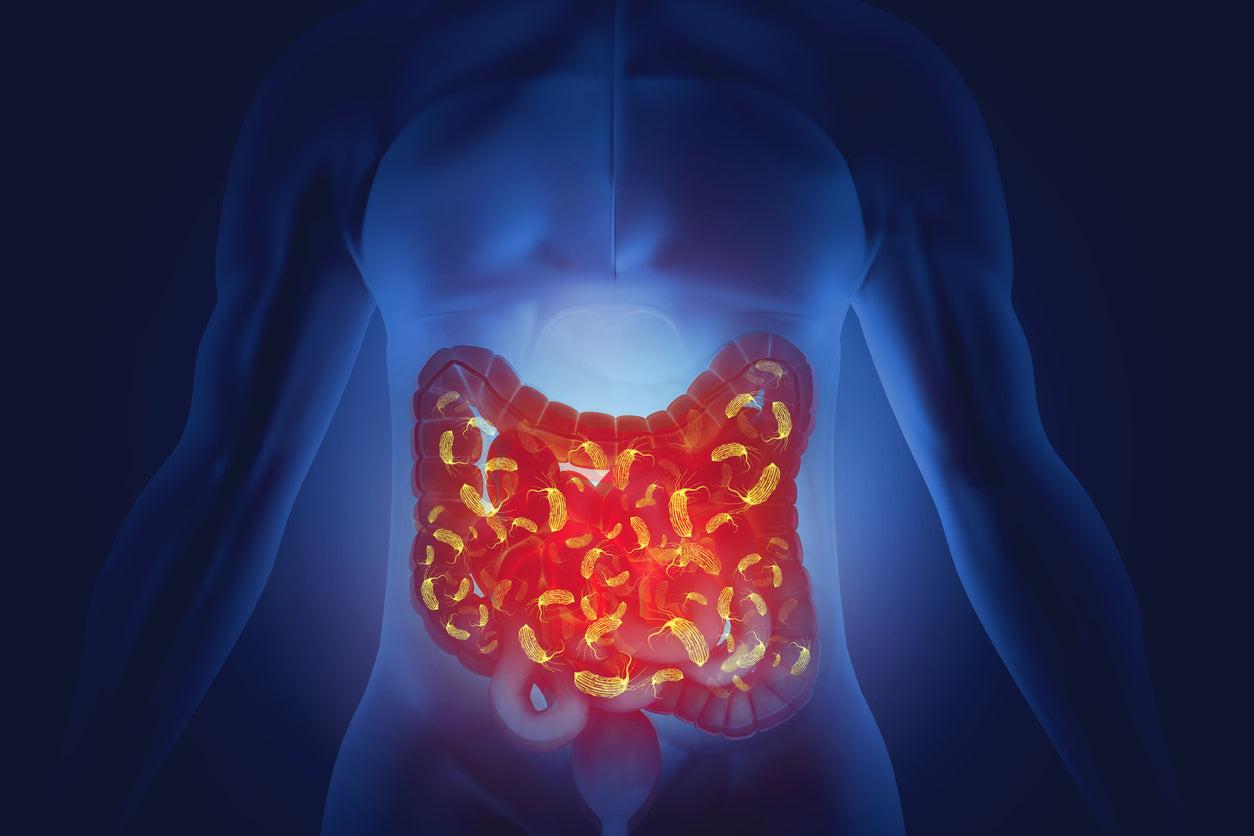 The Role of Probiotics: Best Supplements for Gut Health You Should Try