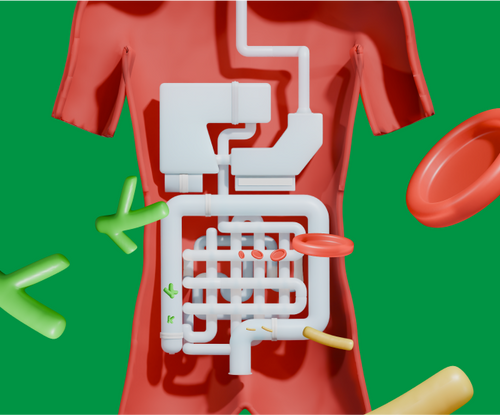 Slide Image