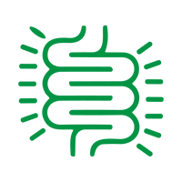 Gut Dysbiosis