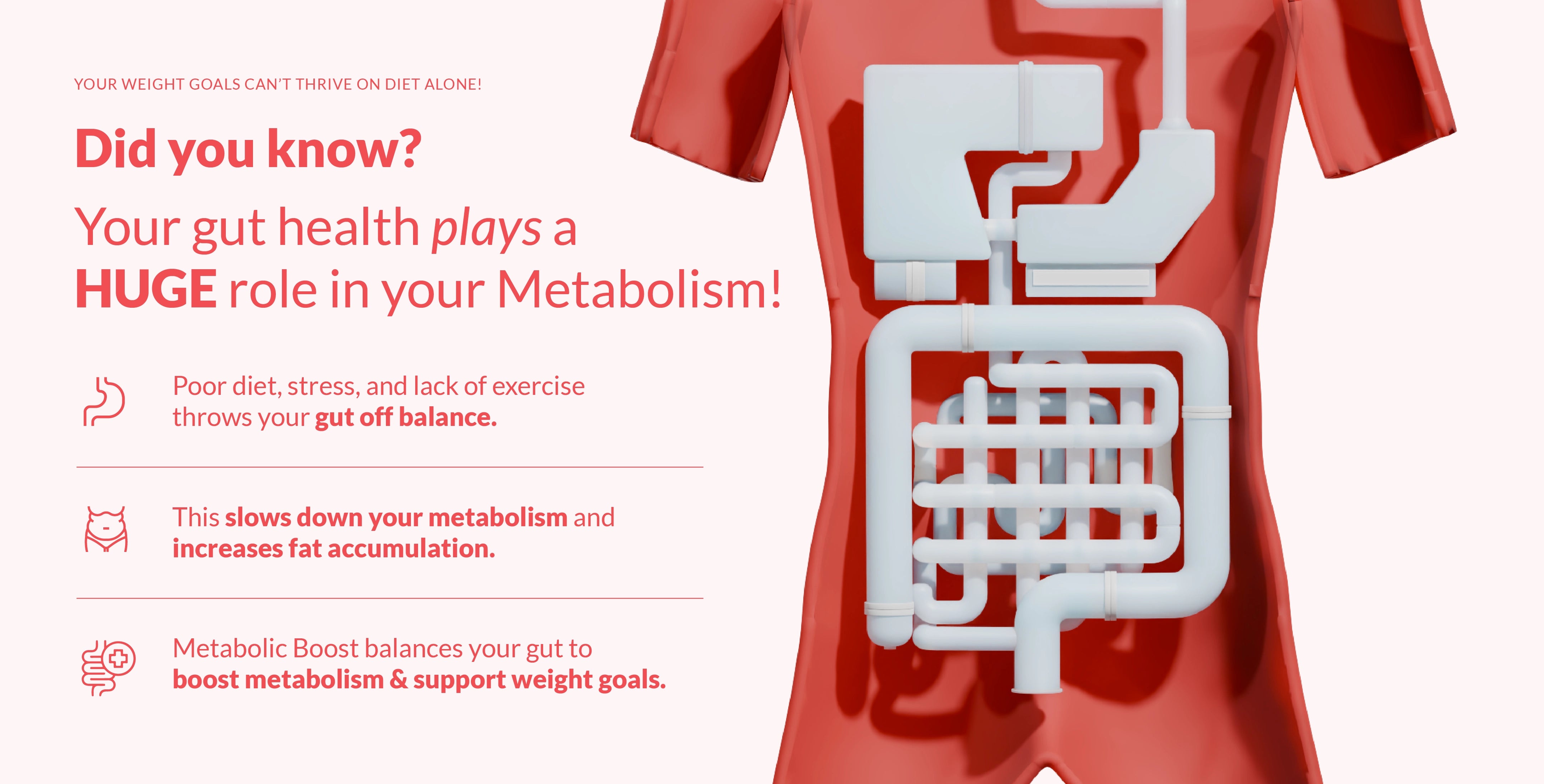 Metabolic Boost